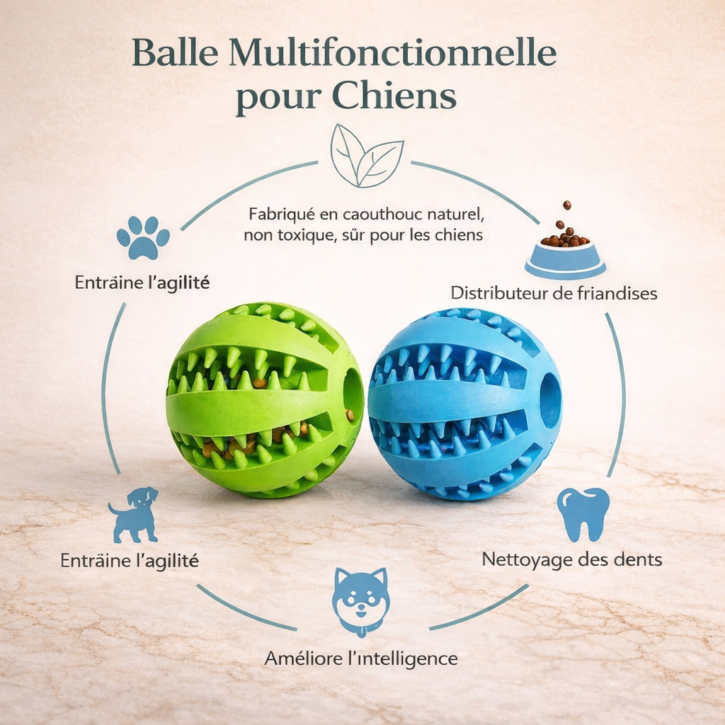 TreatPaw™ – Balle Interactive pour Chien