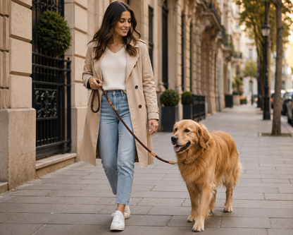 PawLeash™ – Harnais & Laisse Réglables