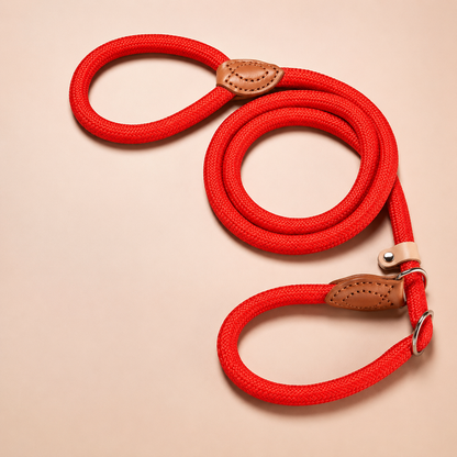PawLeash™ – Harnais & Laisse Réglables