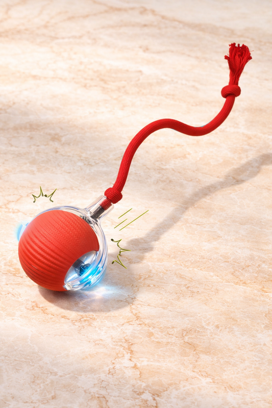 PawRoll™ – Balle Interactive Automatique