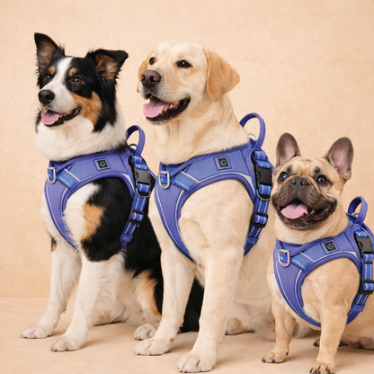 PowerPaw™ Harnais Anti-Traction Réfléchissant pour Chien