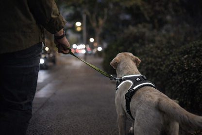 PowerPaw™  Harnais Ajustable avec Poignée de Contrôle réfléchissant