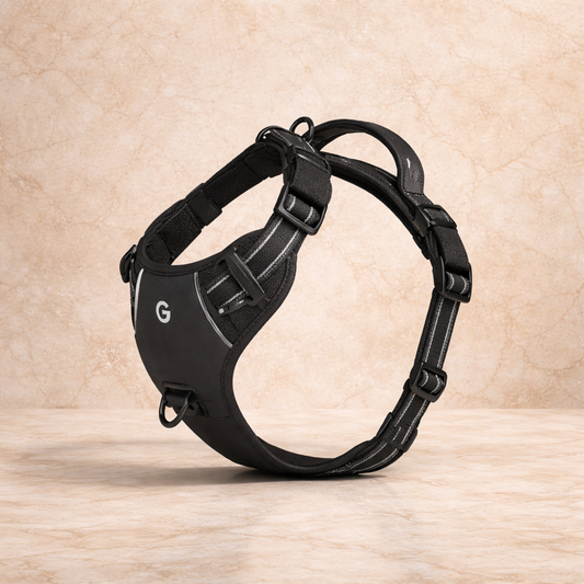 PowerPaw™  Harnais Ajustable avec Poignée de Contrôle réfléchissant
