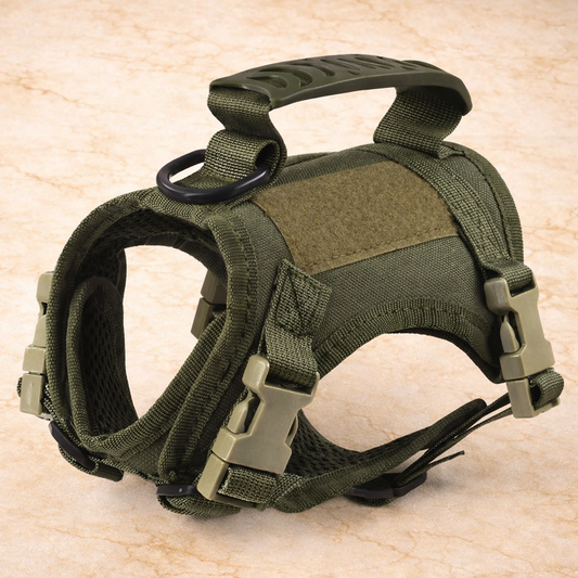 Harnais Professionnel Robuste avec laisse – Petit chien