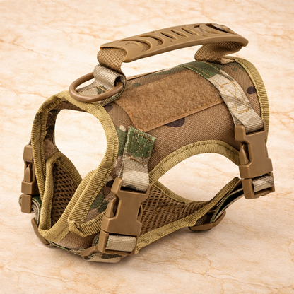 Harnais Professionnel Robuste avec laisse – Petit chien